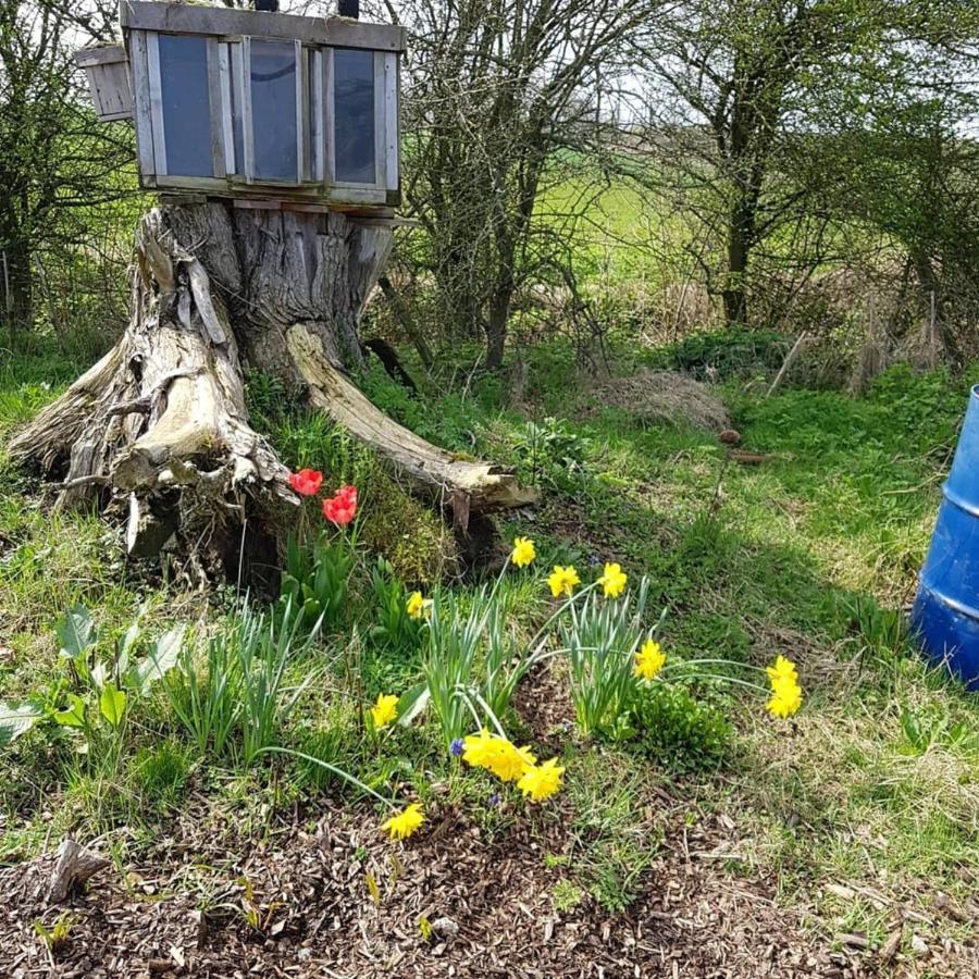 Romantic Escape Luxury Hobbit House With Hot Tub! Sheerness Ngoại thất bức ảnh